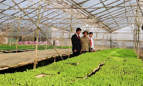 Agribank góp phần nâng cao giá trị nông sản Việt