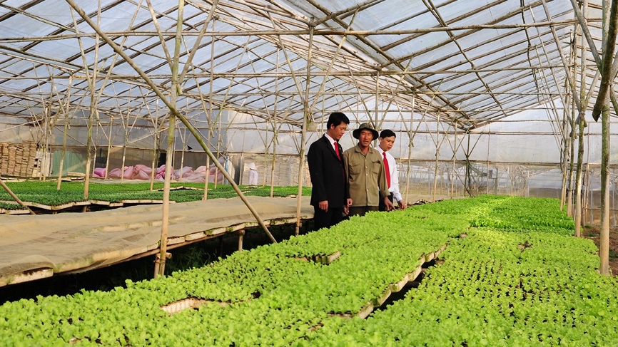 Agribank chính là ngân hàng giàu kinh nghiệm nhất trong đầu tư phát triển "Tam nông".