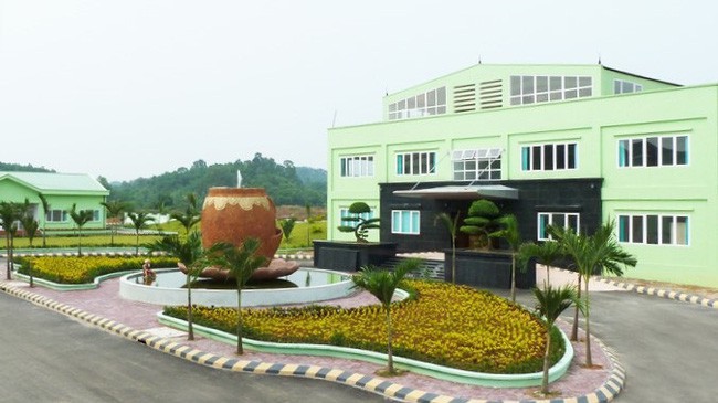 An Tiến là công ty thành viên của AAA