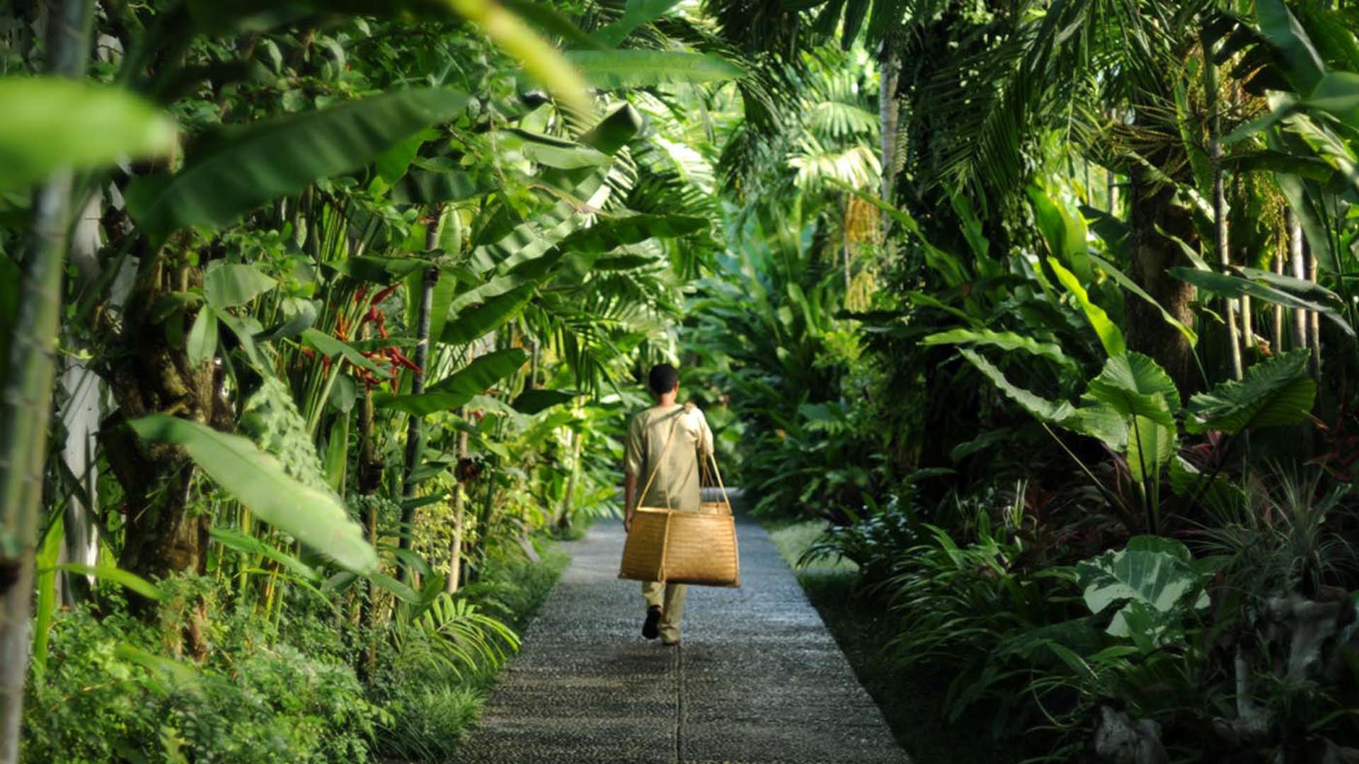 Khu nghỉ dưỡng Haven Park sở hữu không gian yên bình và thiên nhiên như những resort tại Bali - Thiên đường nghỉ dưỡng nổi tiếng thế giới.