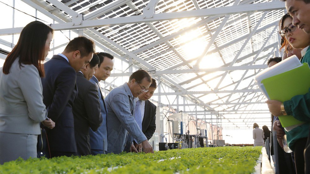 Lãnh đạo FLC xem xét mô hình trang trại nông nghiệp của Farmdo tại Nhật Bản.