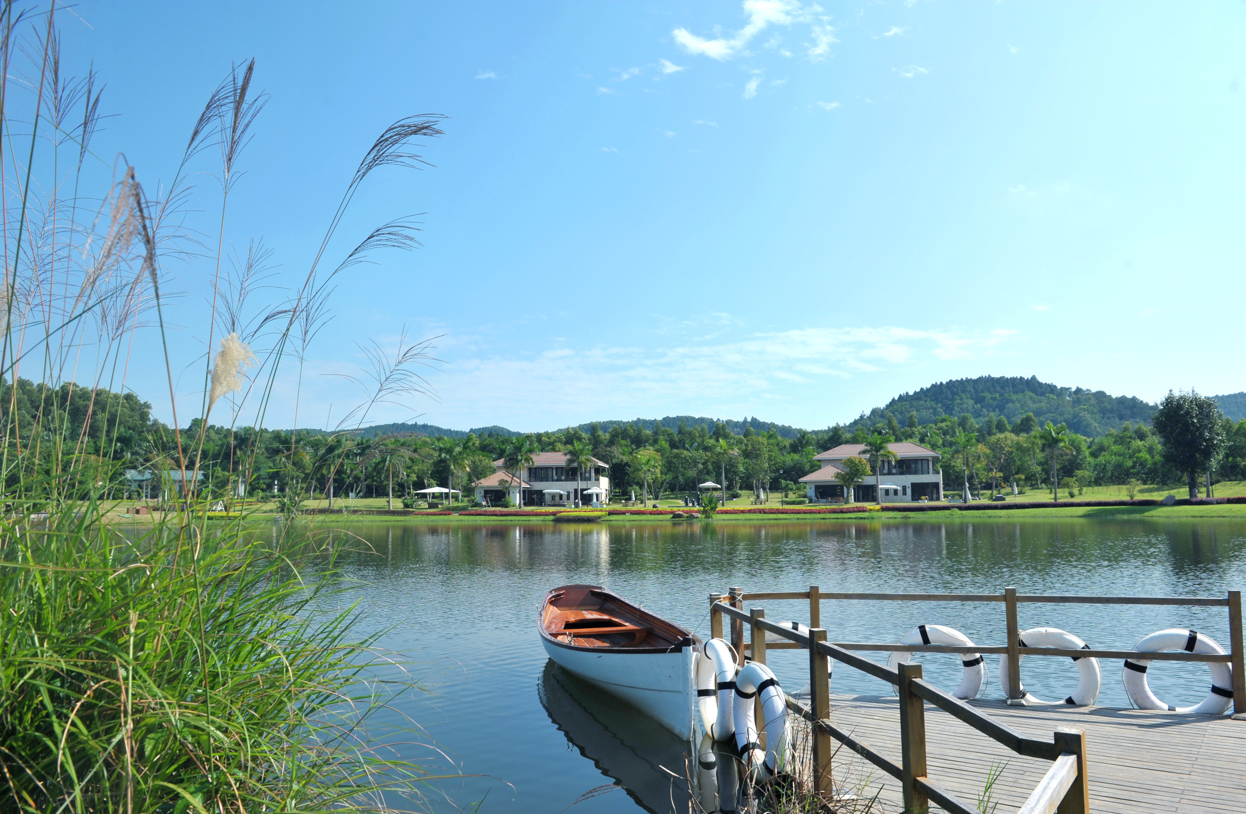 Thiên nhiên tĩnh lặng, dẫn dụ thiên địch tiêu diệt sinh vật có hại.
