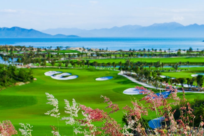 TripAdvisor trao chứng nhận xuất sắc cho sân golf Vinpearl 2
