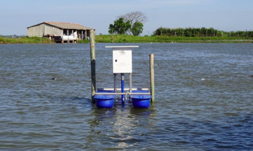 Chuyển đổi số và 