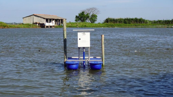 Chuyển đổi số và 