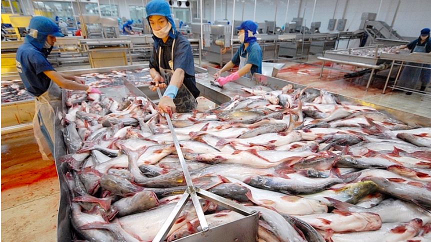 Những năm gần đây, Việt Nam xuất khẩu khoảng 60 triệu USD/năm giá trị thủy sản sang Campuchia - ảnh minh họa