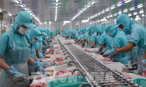 Gần 700 doanh nghiệp Việt được phép xuất khẩu thủy sản vào Đài Loan