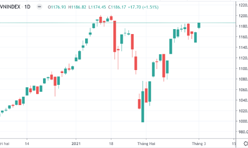 Tiền chốt lời quay lại, Vn-Index tăng vọt 17 điểm