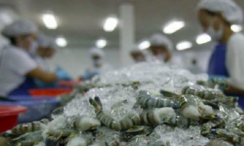 Xuất khẩu thủy sản tháng 3 dự báo đạt 640 triệu USD
