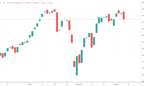 HSX đứng hình cả buổi, tiền 