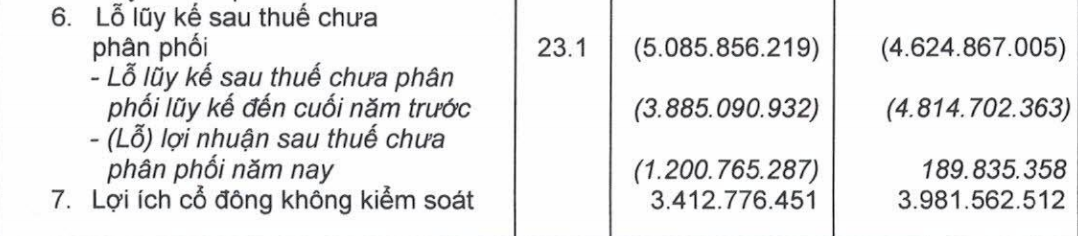 Khoản lỗ lũy kế xuất hiện trên báo cáo tài chính quý 4/2020 của HAG
