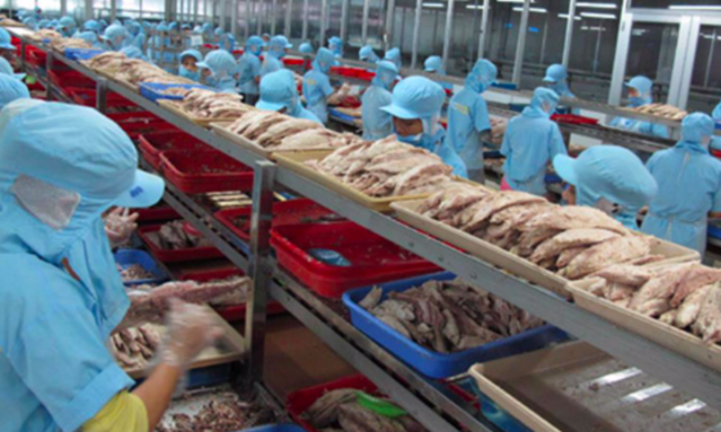 Một số doanh nghiệp thủy sản phản ánh về bất cập trong quy định phạt chậm nộp thuế Giá trị gia tăng khi nhập khẩu lại các lô hàng xuất khẩu bị trả lại tính từ khi xuất khẩu lô hàng.