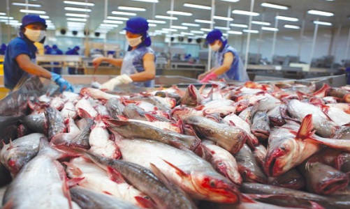 Xuất khẩu cá tra sang thị trường Trung Quốc – Hồng Kông sụt giảm mạnh