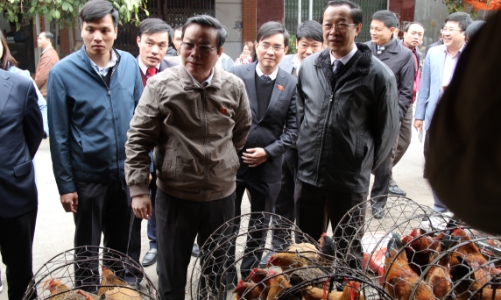 An toàn thực phẩm: Ẩn số nhập lậu qua biên giới