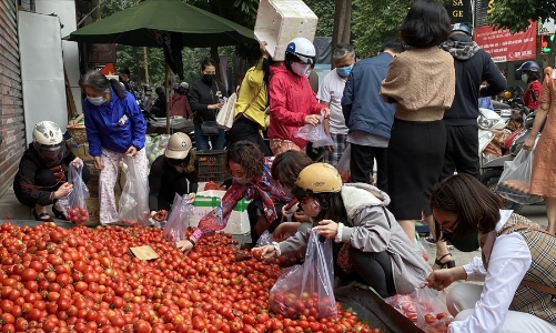 Giải cứu nông sản Hải Dương: Cần những kịch bản ứng phó mới