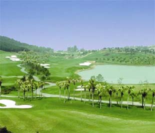 Hiện cả nước có 123 sân golf, chiếm tổng diện tích khoảng 38.445 héc ta, trong đó diện tích dành cho chơi golf khoảng 27.000 ha.