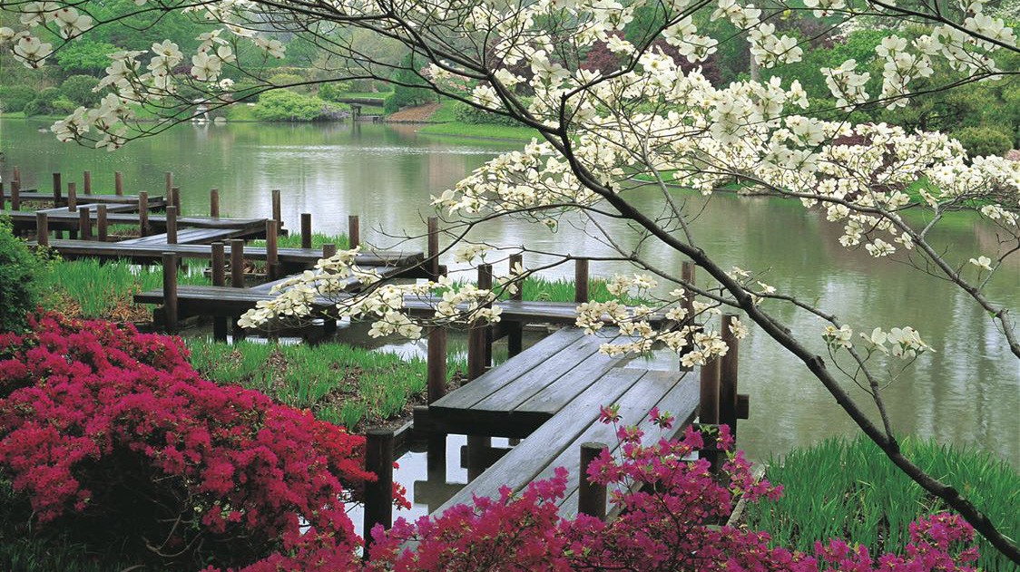 Phối cảnh hồ trung tâm Biwaco - Khu đô thị TMS Grand City Phúc Yên.