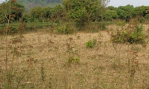 Thủ tướng: Xử lý dứt điểm vi phạm đất đai trước 30/12/2011