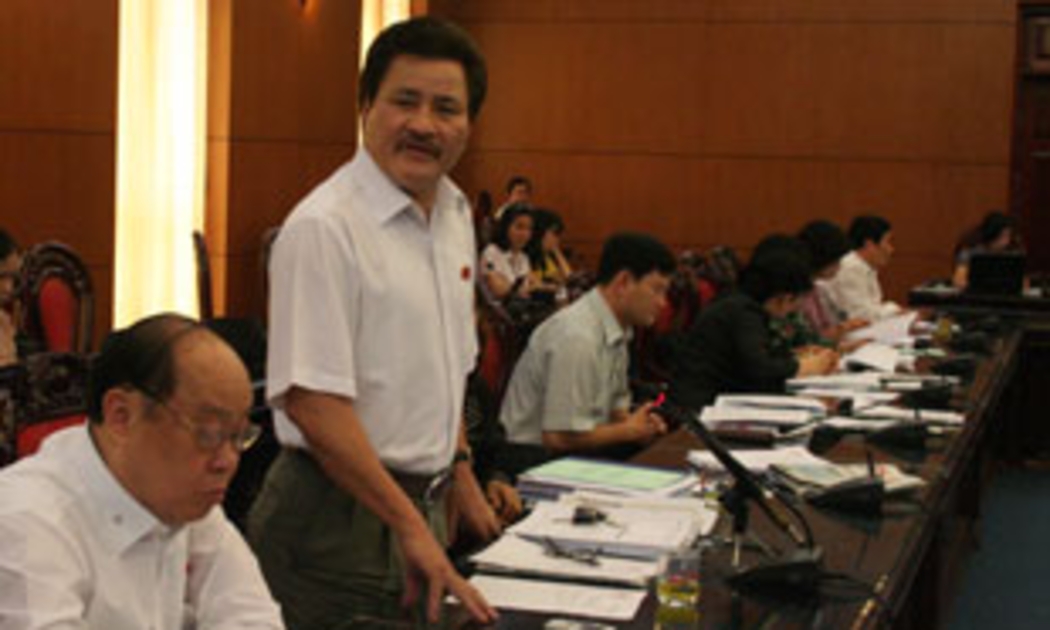 Đại biểu Nguyễn Ngọc Đào (Hà Nội): Không cần lo lắng về việc người Việt Nam định cư ở nước ngoài sở hữu nhà tại Việt Nam - Ảnh: Mạnh Cường.