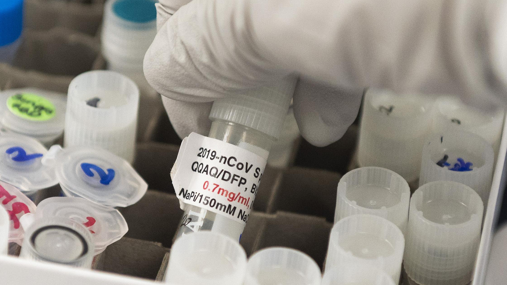 Quỹ Tiếp cận Vaccine Châu Á và Thái Bình Dương (APVAX) hỗ trợ các quốc gia đang phát triển tiếp cận vaccine Covid-19 - Ảnh: Getty Images