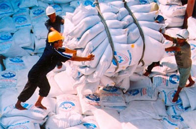 “Năm 2008 và 2009, lượng gạo xuất khẩu và diễn biến giá xuất khẩu luôn có chiều hướng nghịch nhau, khi thị trường đạt mức cao nhất thì lo ngại về an ninh lương thực và lạm phát trong nước cao đã dẫn đến thực thi chính sách ngưng xuất khẩu”.