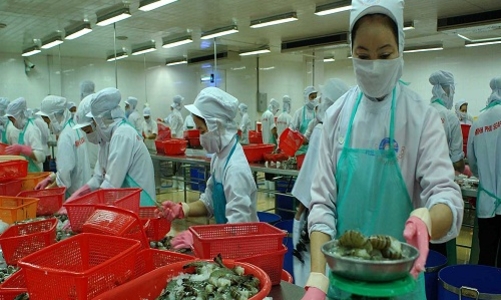 Thêm rào cản cho xuất khẩu tôm 