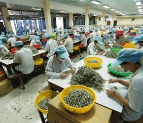 "Xuất khẩu thuỷ sản có nhiều khả năng đạt được mục tiêu kế hoạch 3,6 tỉ USD trong năm nay."