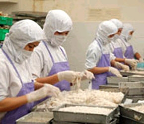 Đã có 3 doanh nghiệp bắt đầu hoạt động tại HBI, theo kế hoạch, đến hết 2007 sẽ có thêm 3 doanh nghiệp khác tham gia “vườn ươm”.