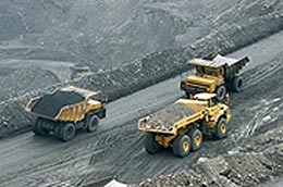 NBC lãi gần 77 tỷ đồng, lãi cơ bản trên mỗi cổ phiếu (EPS) trong năm 2010 đạt 12.814,86 đồng.