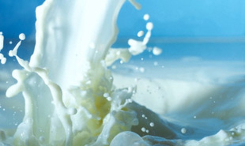 Sữa và chuyện kiểm soát giá