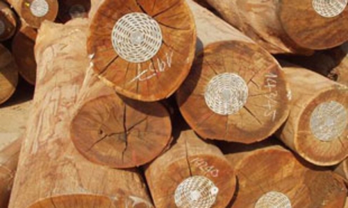 Việt Nam nhập nhiều gỗ từ Myanmar