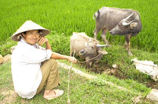  Theo số liệu thống kê năm 2010, việc làm giản đơn, không cần nhiều kỹ năng chiếm gần 40% tổng việc làm của cả nước. Việc làm năng suất thấp còn lớn và chiếm tỉ trọng cao trong nền kinh tế.