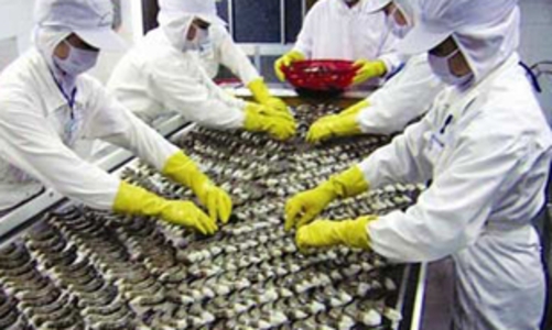 “Khó tránh khỏi chênh lệch thu nhập”