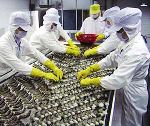 "Với mức lương tối thiểu 540 ngàn đồng/tháng hiện nay, để đảm bảo đủ trang trải cuộc sống là khó."