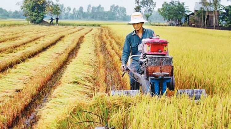Là vùng sản xuất hàng hóa lớn nhất nước, Đồng bằng sông Cửu Long cung cấp 90% sản lượng gạo, 50% sản lượng trái cây, 70% sản lượng thủy sản xuất khẩu cho cả nước. 