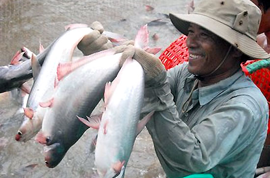 Trong lúc các nước Âu - Mỹ liên tục rao giảng về tự do thương mại, điều ai cũng nhận thấy là các doanh nghiệp Việt Nam đi ra thế giới phải chịu quá nhiều thiệt thòi do thiếu một sự hỗ trợ thực chất.