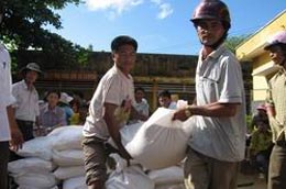 Tổng cộng có 16 tỉnh, thành trên cả nước đã được Chính phủ hỗ trợ tổng số lượng gạo lên gần 36.000 tấn. 