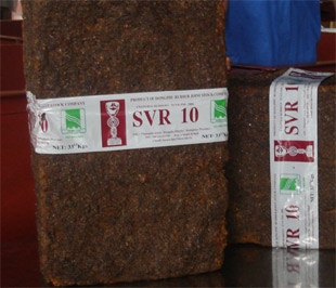 Tính đến hết tháng 6 năm 2009, Công ty Cổ phần Cao su Đồng Phú công bố đạt doanh thu 173 tỷ đồng - bằng 38% kế hoạch và lợi nhuận đạt 48,4 tỷ đồng.