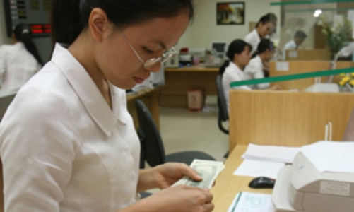 Các giải pháp chống Đôla hóa