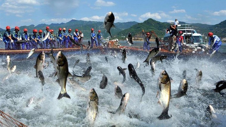 APC là doanh nghiệp tiên phong được xây dựng nhằm phục vụ cho mục đích thương mại và chiếu xạ công nghiệp tại Việt Nam.