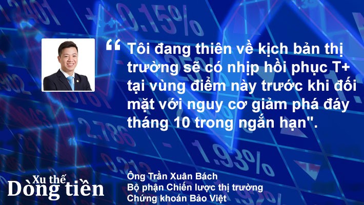 Xu thế dòng tiền: Chờ kết quả kiểm tra đáy - Ảnh 2.
