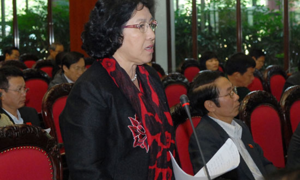 Nhiều đại biểu Quốc hội 