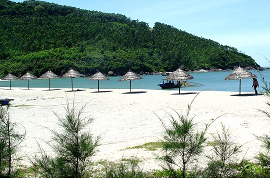 Một lãnh đạo của Tổng cục Du lịch thừa nhận, việc bờ biển đang bị băm nát để xây dựng các resort, biệt thự biển là do thất bại trong quản lý của ngành và nhiều địa phương.