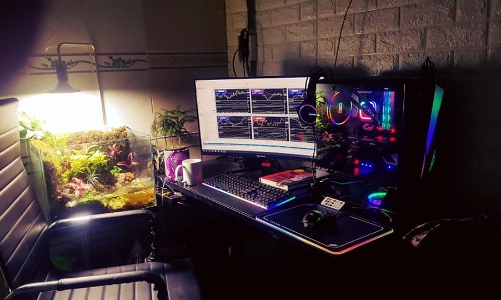 Vận động người tham gia sàn đầu tư tài chính đa cấp có thể bị phạt tới 5 năm tù