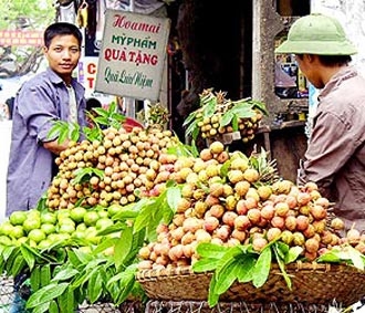 Từ 1/7/2008 những gánh hàng rong xuất hiện tại những khu vực cấm bán hàng sẽ bị xử phạt.