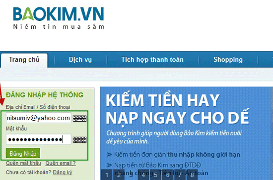 Cổng thanh toán trực tuyến Baokim.vn.