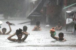 Ở nước ta chỉ riêng bão lũ mỗi năm đã làm chết khoảng 500 người, thiệt hại vật chất hơn 1 tỷ USD.