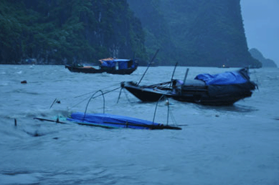 Nhiều thuyền nan của ngư dân neo đậu ở khu vực Cảng Mới (Tp Hạ Long) bị đánh chìm.