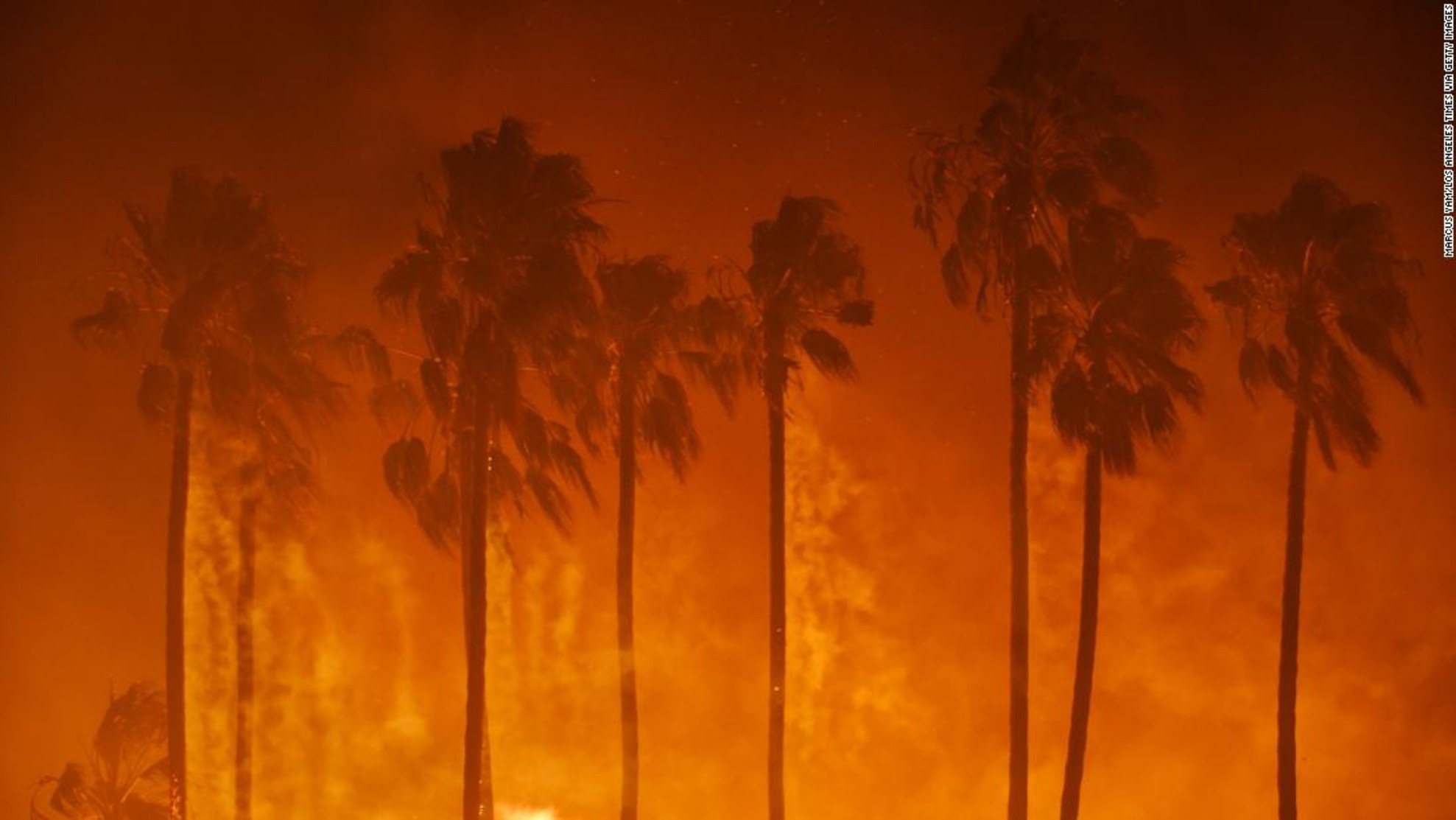 undefined - Ảnh 11.