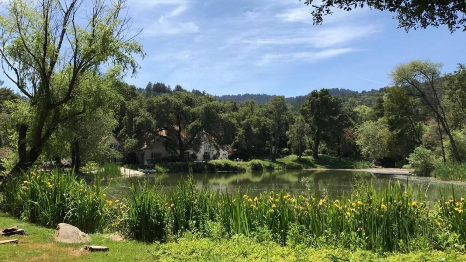 undefined - Ảnh 12.